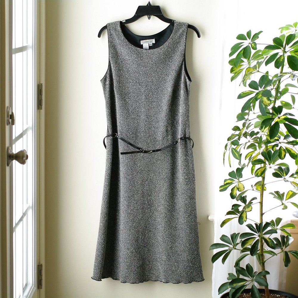 Coldwater Creek Sleeveless Sheath Dress with belt